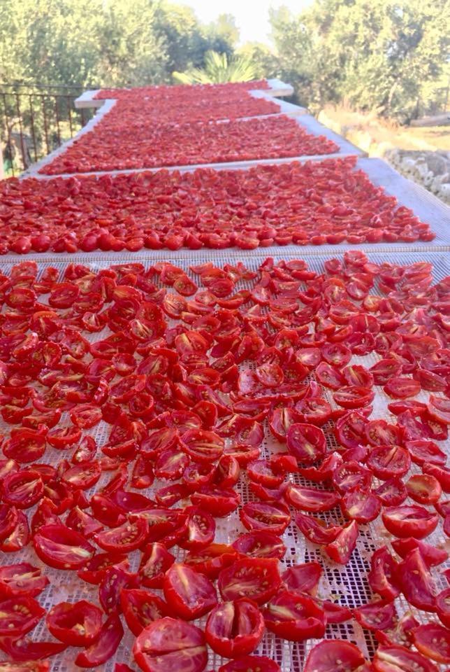 Agriturismo Armienti Βίλα Toritto Εξωτερικό φωτογραφία