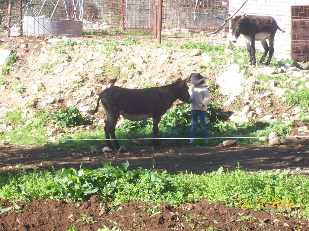 Agriturismo Armienti Βίλα Toritto Εξωτερικό φωτογραφία